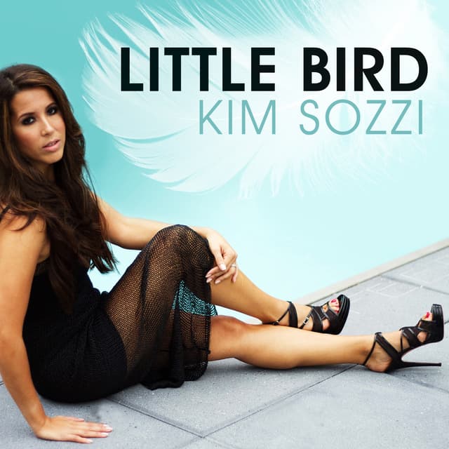 Album cover art for Little Bird (remixes)
