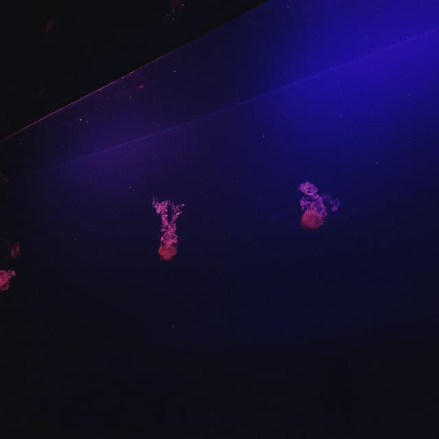 Album cover art for Little Bit of Time