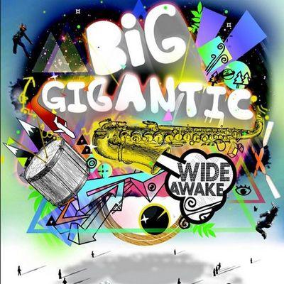 Album cover art for Wide Awake