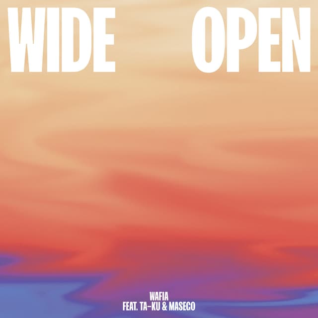 Album cover art for Wide Open