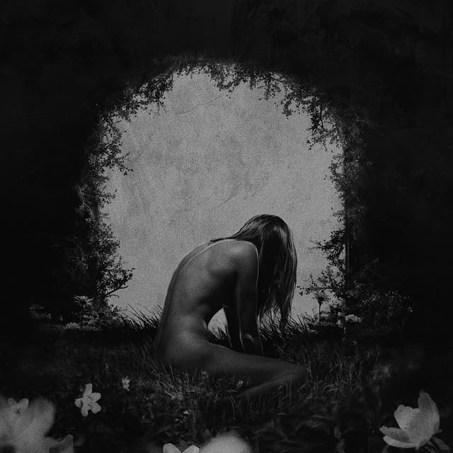 Album cover art for Anna