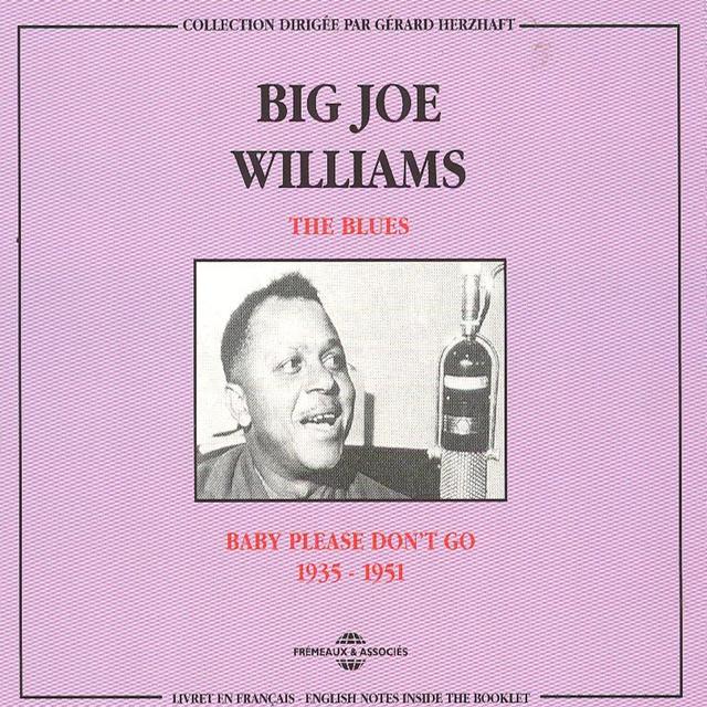 Album cover art for Big Joe Williams: Baby Please Don't Go (1935-1951)
