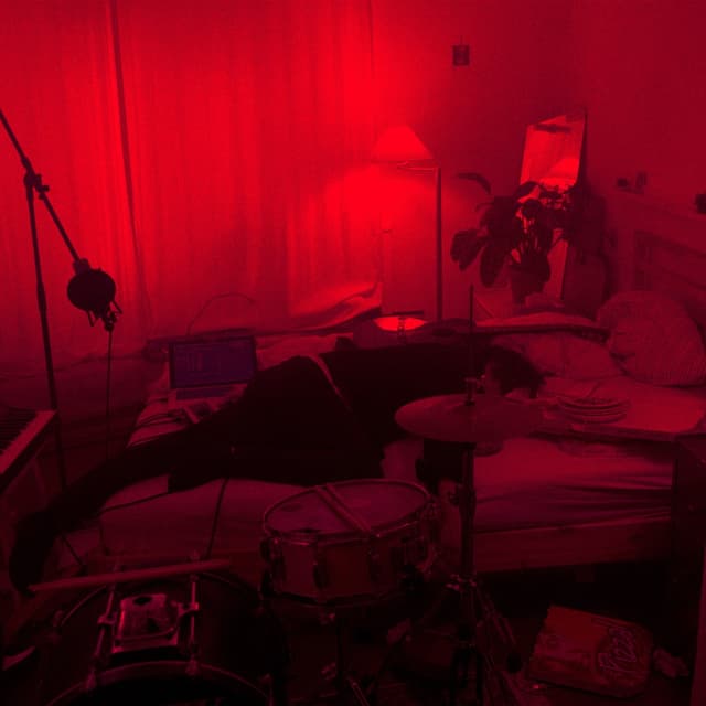 Album cover art for Misfits