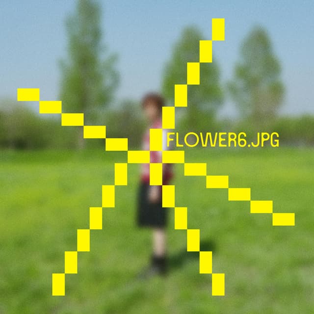 Album cover art for Flower6.jpg