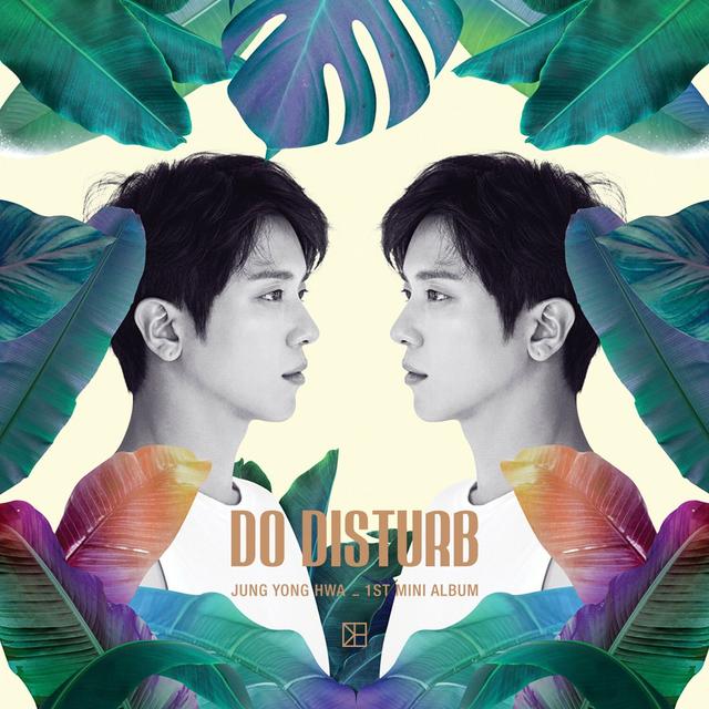 Album cover art for Do Disturb