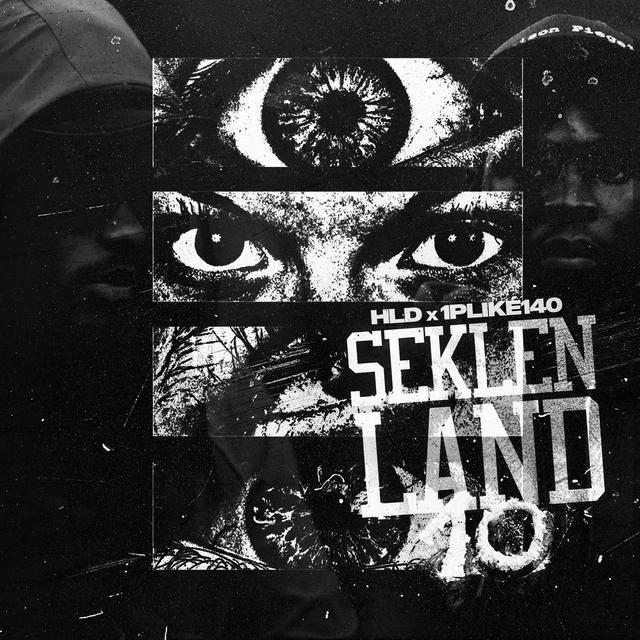 Album cover art for Seklenland, Pt. 10