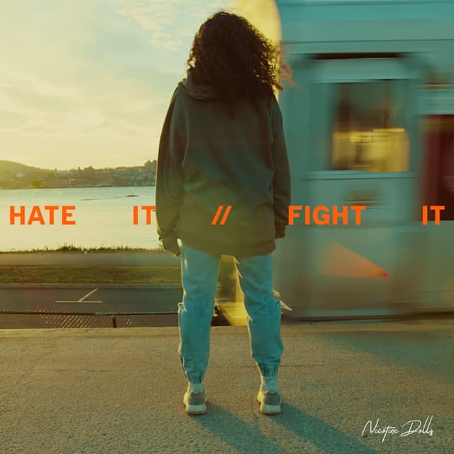 Album cover art for Hate It // Fight It