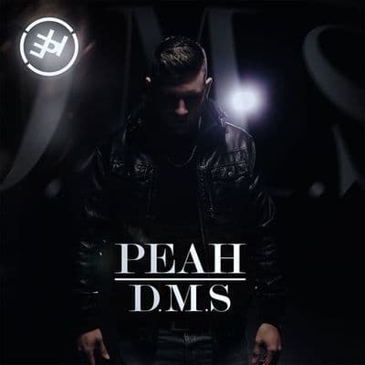 Album cover art for D.M.S