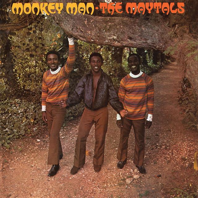 Album cover art for Monkey Man