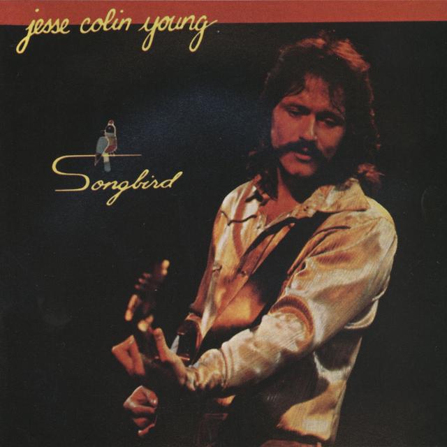 Album cover art for Songbird