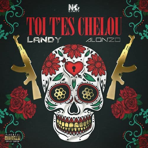 Album cover art for Toi t'es chelou