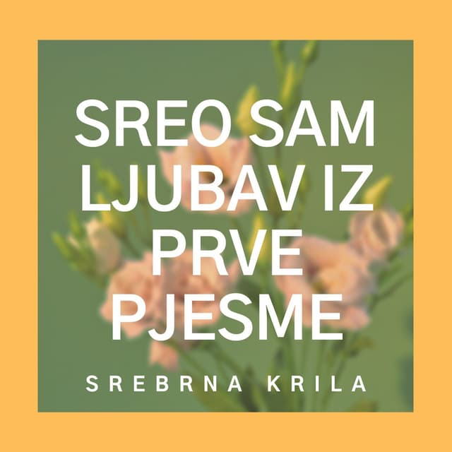 Album cover art for Sreo sam ljubav iz prve pjesme