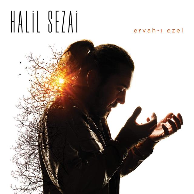 Album cover art for Ervah-ı Ezel