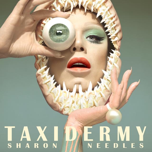 Album cover art for Taxidermy