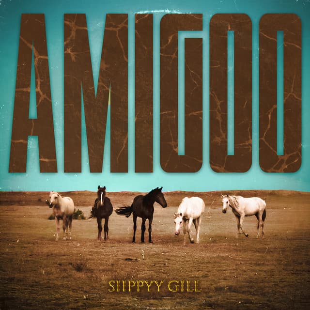 Album cover art for Amigoo