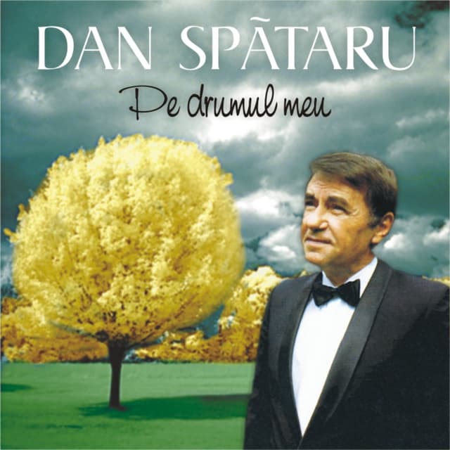 Album cover art for Pe drumul meu
