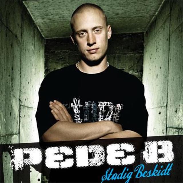 Album cover art for Stadig Beskidt