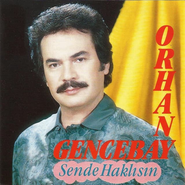 Album cover art for Sen De Haklısın