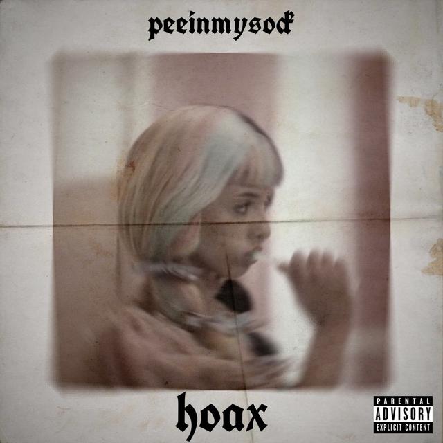 Album cover art for Hoax