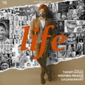 Album cover art for Life