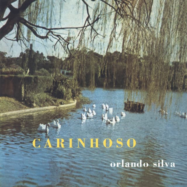 Album cover art for Carinhoso