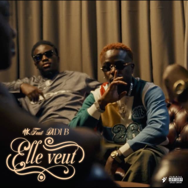 Album cover art for Elle veut