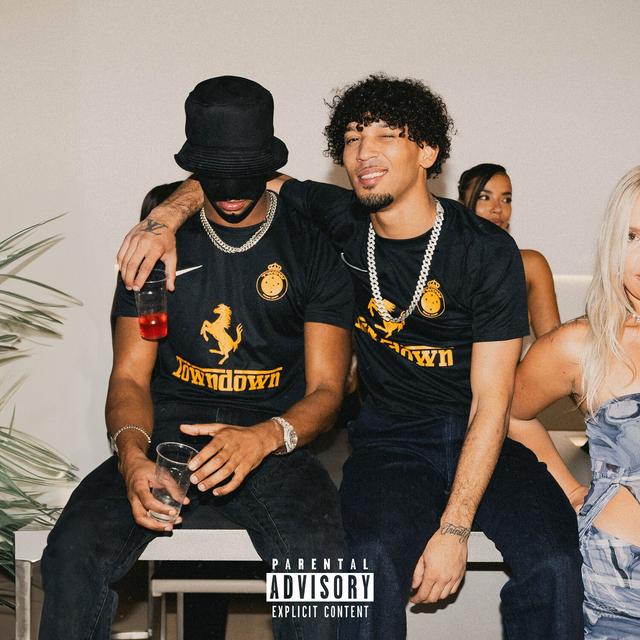 Album cover art for Did You See