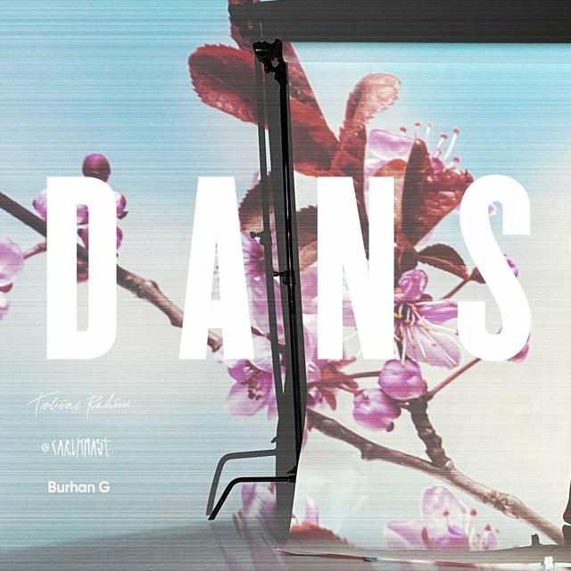 Album cover art for Dans