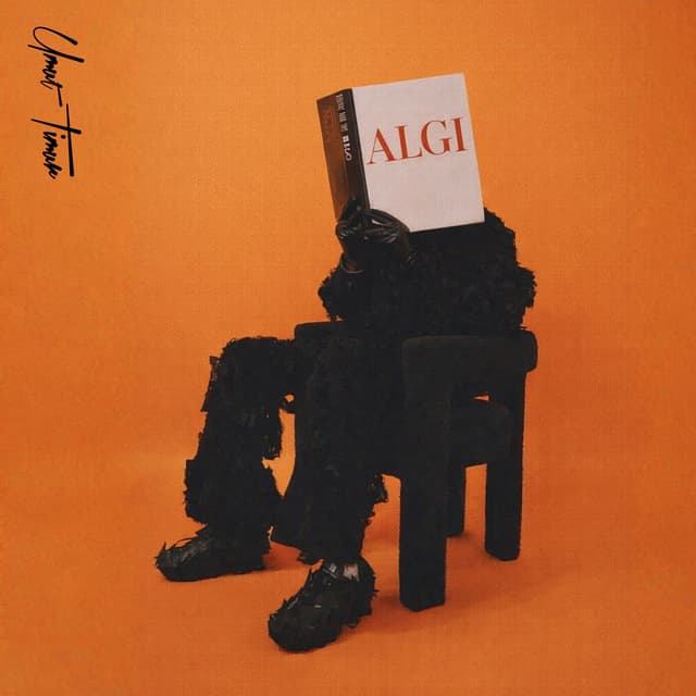 Album cover art for ALGI