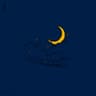Midnight Flight