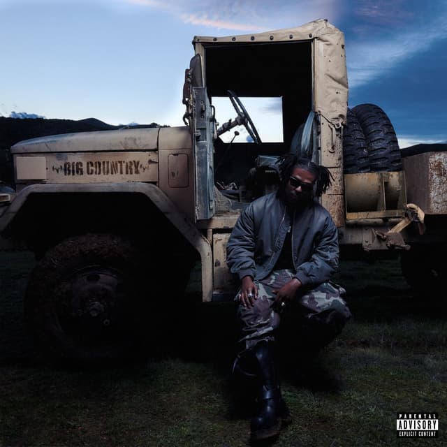 Album cover art for big country