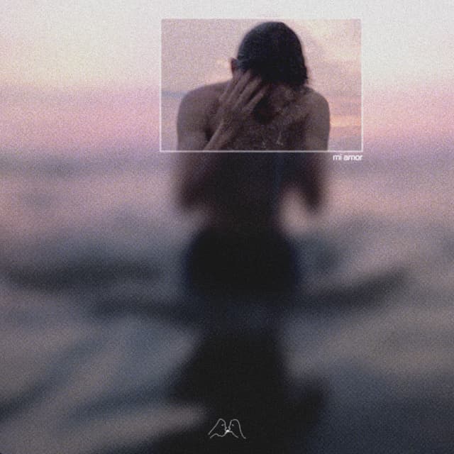 Album cover art for Mi Amor