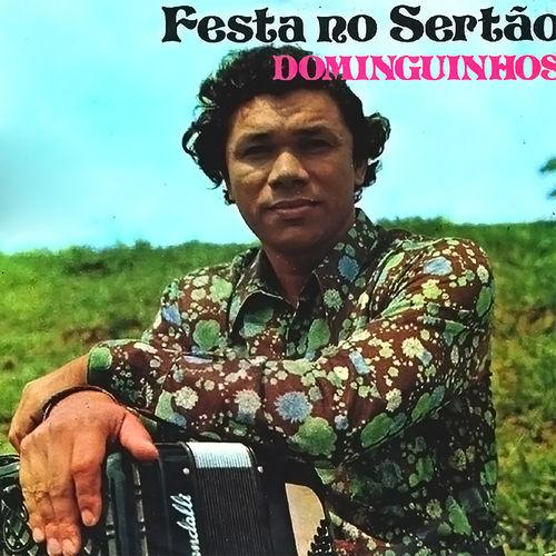 Album cover art for Festa no Sertão