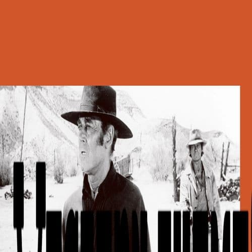 Album cover art for The Western Themes