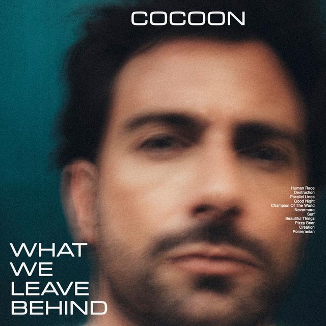 Album cover art for What We Leave Behind