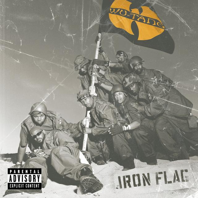 Album cover art for Iron Flag