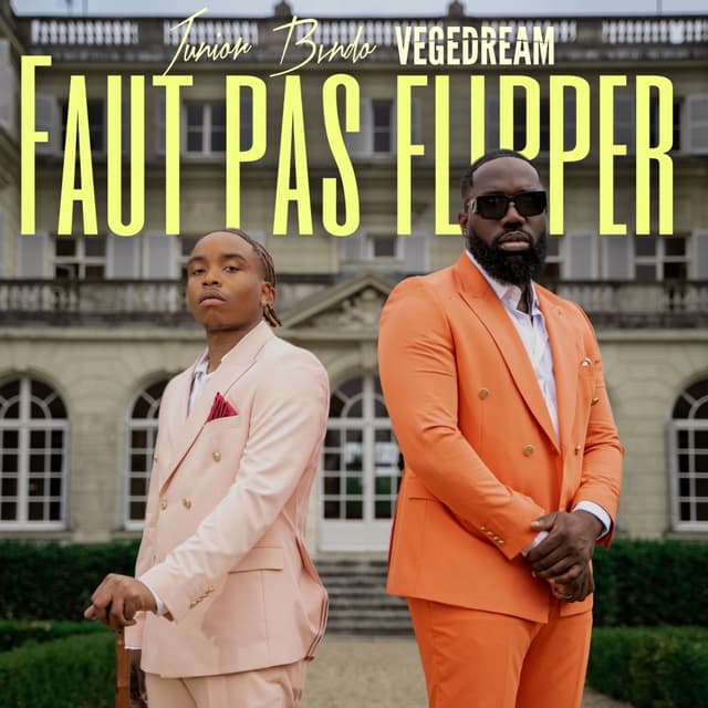 Album cover art for Faut pas flipper