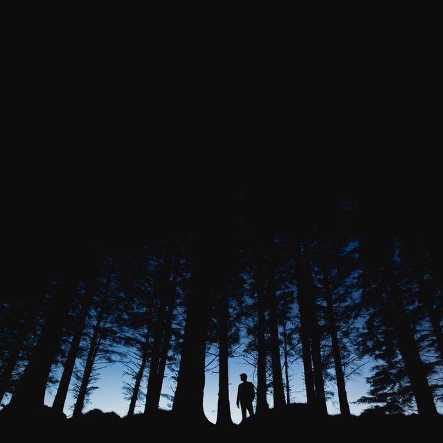 Album cover art for Trails