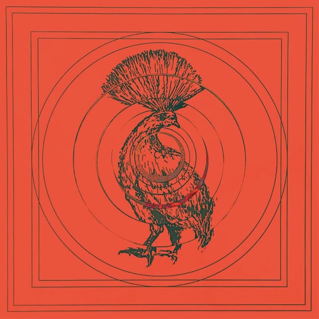 Album cover art for Animal Z
