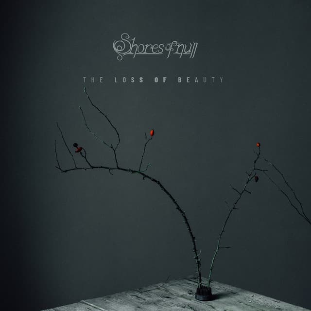 Album cover art for The Loss of Beauty