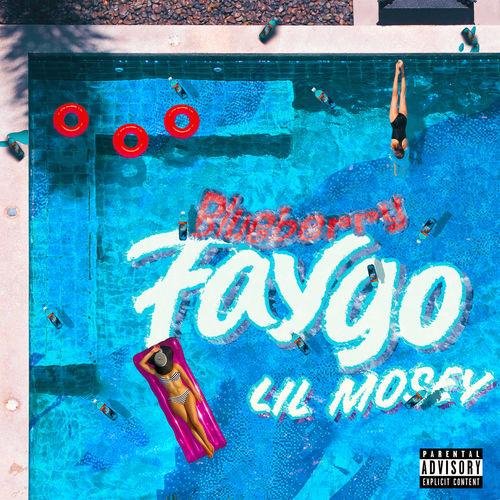 Album cover art for Blueberry Faygo