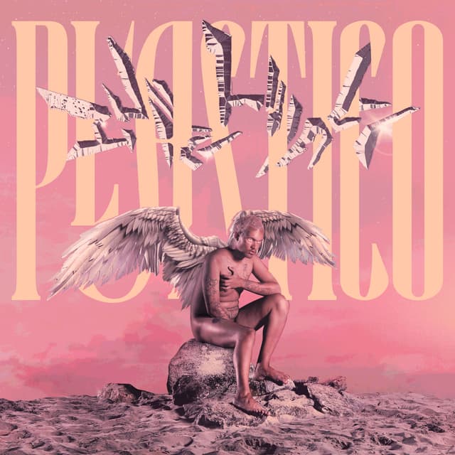 Album cover art for Plástico