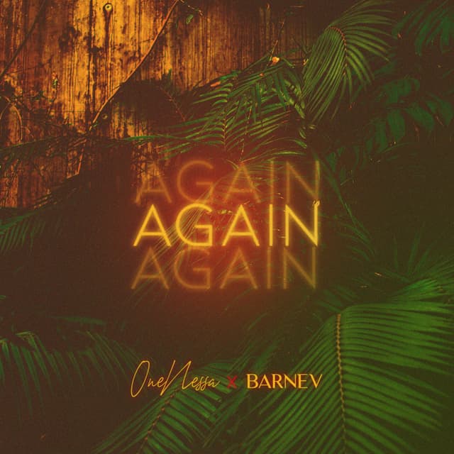Album cover art for Again