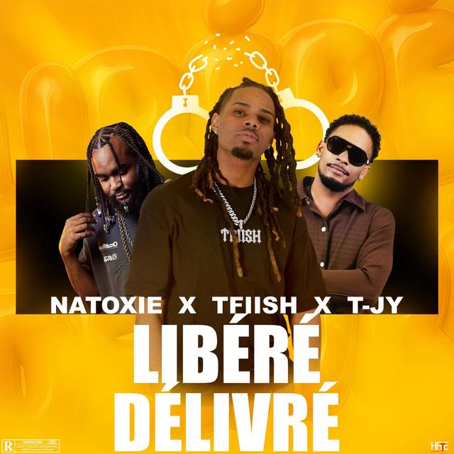 Album cover art for Libéré, délivré