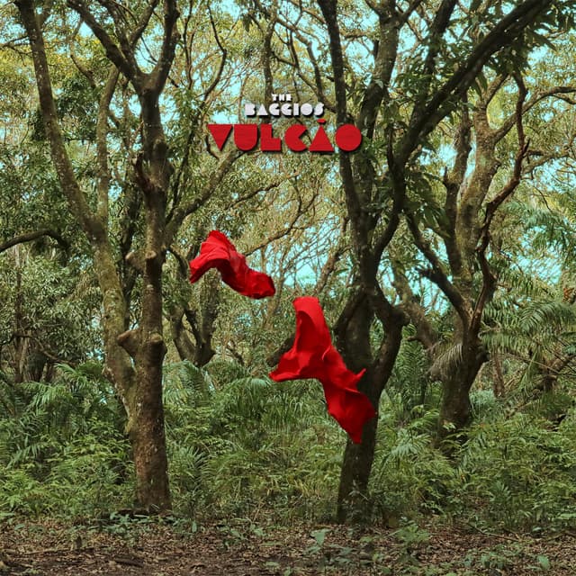 Album cover art for Vulcão