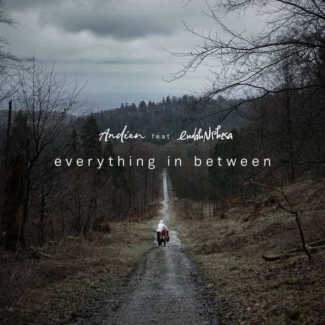 Album cover art for Everything in Between