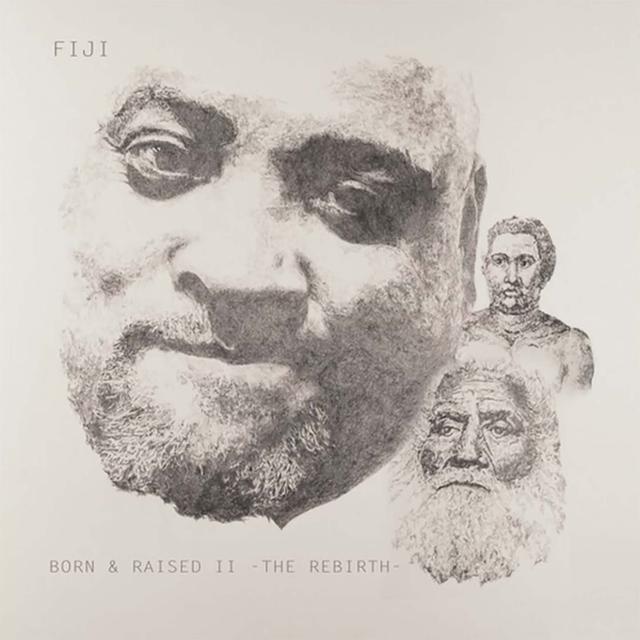 Album cover art for Born and Raised II