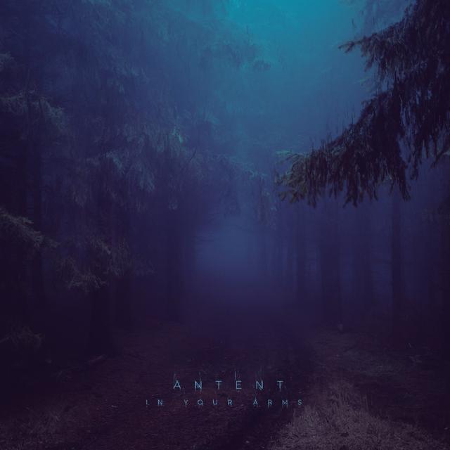 Album cover art for In Your Arms