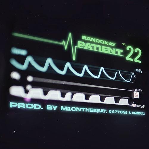 Album cover art for Patient