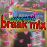 Erika Uit Langenboom - Uptempo Braak Mix